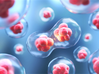 云南干细胞——干细胞库是干什么用的？